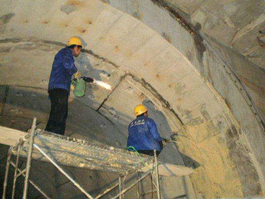 �O�侮��©����