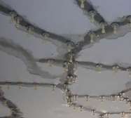 ���c��ˮ���̳�Ҋ���}�Ľ�Q����