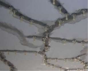 ���c��ˮ���̵Č���Ҫע��ʲô