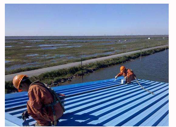 ���c�����ҷ�ˮ����Щ�ȼ�